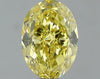 GIA 1.01 Fancy Intense Yellow-VS1 Oval Diamond