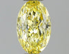 GIA 0.34 Fancy Intense Yellow-SI1 Oval Diamond